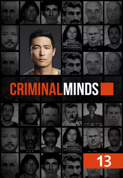 Серіал 'Мислити як злочинець' сезон 13 постер