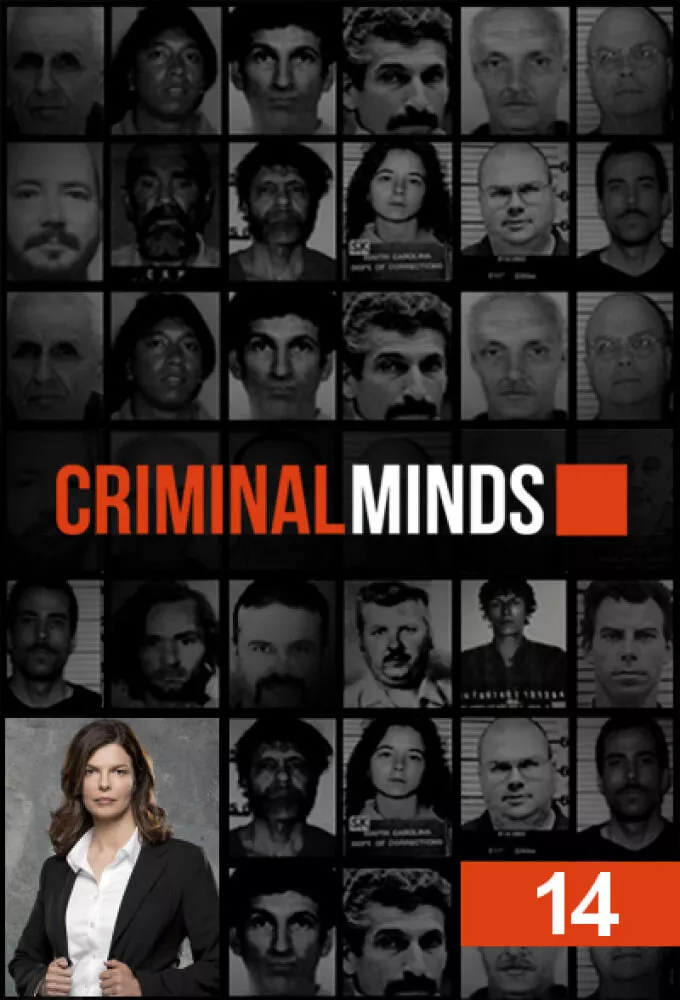 Серіал 'Мислити як злочинець' сезон 14 постер