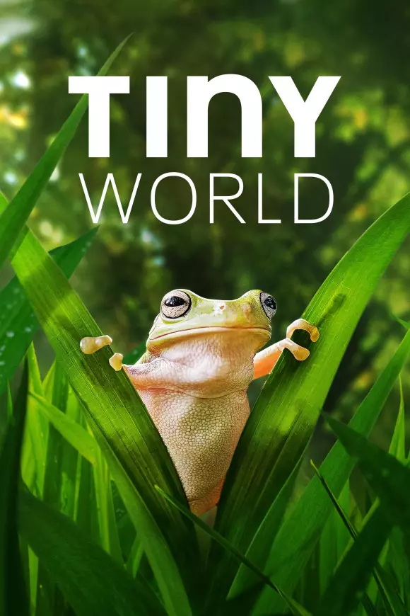 Серіал 'Крихітний світ' сезон 2 постер