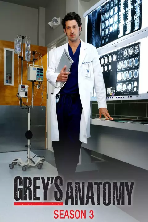Серіал 'Анатомія Грей' сезон 3 постер