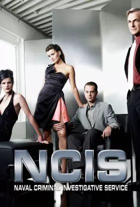 Серіал 'NCIS: Полювання на вбивцю' сезон 15 постер