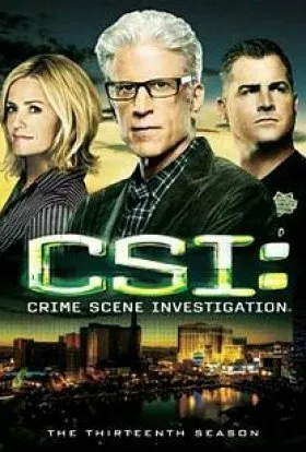 Серіал 'CSІ: Лас-Вегас / CSI: Місце злочину' сезон 13 постер