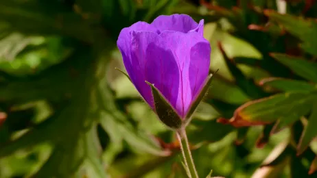 Фото 6