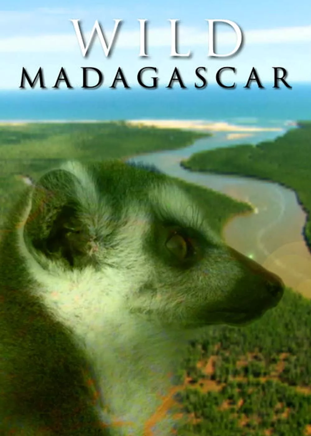 Фільм 'Дикий Мадагаскар' постер