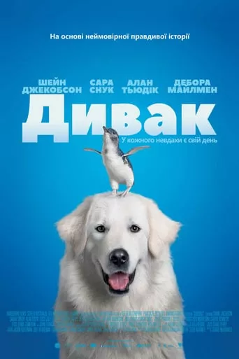 Фільм 'Дивак' постер