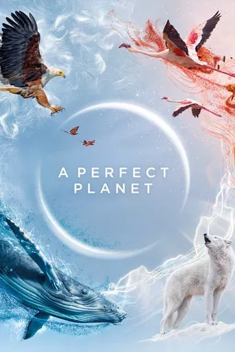 Серіал 'Досконала планета / Ідеальна планета' постер