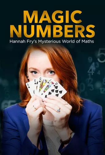 Серіал 'Магічні числа: таємничий світ математики Ханни Фрай' постер