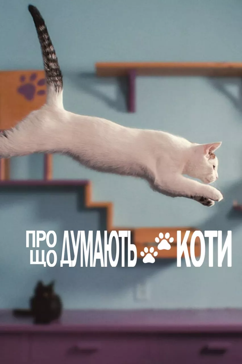 Фільм 'Про що думають коти' постер