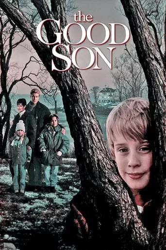 Фільм 'Хороший син' постер