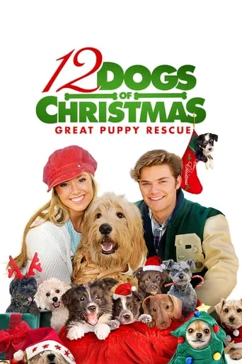 Фільм '12 Різдвяних собак: Чудесний порятунок' постер