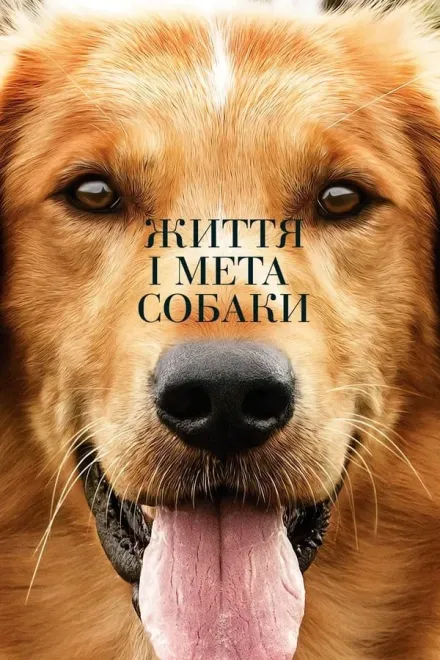 Фільм 'Життя і мета собаки' постер
