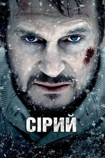 Фільм 'Сірий / Сутичка' постер
