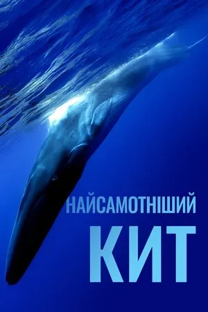 Фільм 'Найсамотніший кит' постер