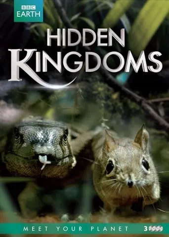 Серіал 'Приховані королівства' постер