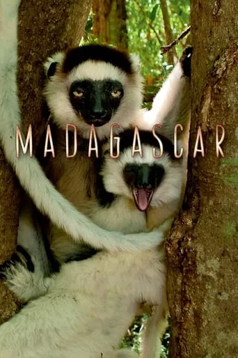 Серіал 'Мадаґаскар / Мадагаскар' постер