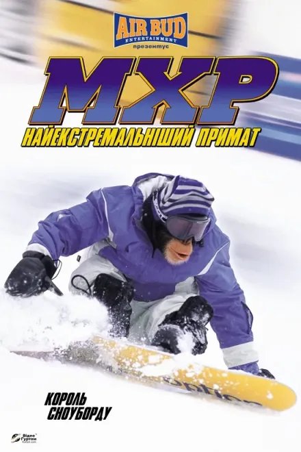 Фільм 'Король сноуборду' постер