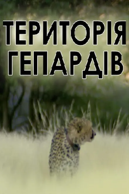 Фільм 'Територія гепардів' постер